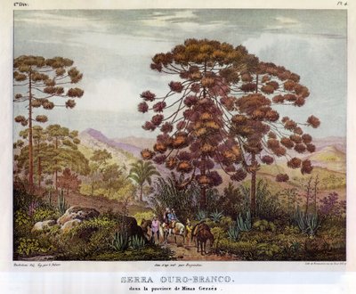 Serra Ouro-Branco by Johann Moritz Rugendas